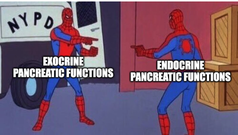 A play on the spiderman meme of two spiderman's pointing at each other, indicating similar things. Labeled "exocrine pancreatic functions" and "endocrine pancreatic functions", indicating both of mine are not working as they should be.