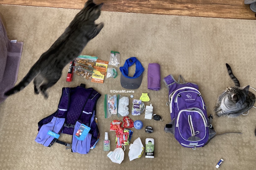 A cat in mid air jumping over the purple runing vest in the left of the picture; another cat sitting to the right of the old purple backpack used for running. 