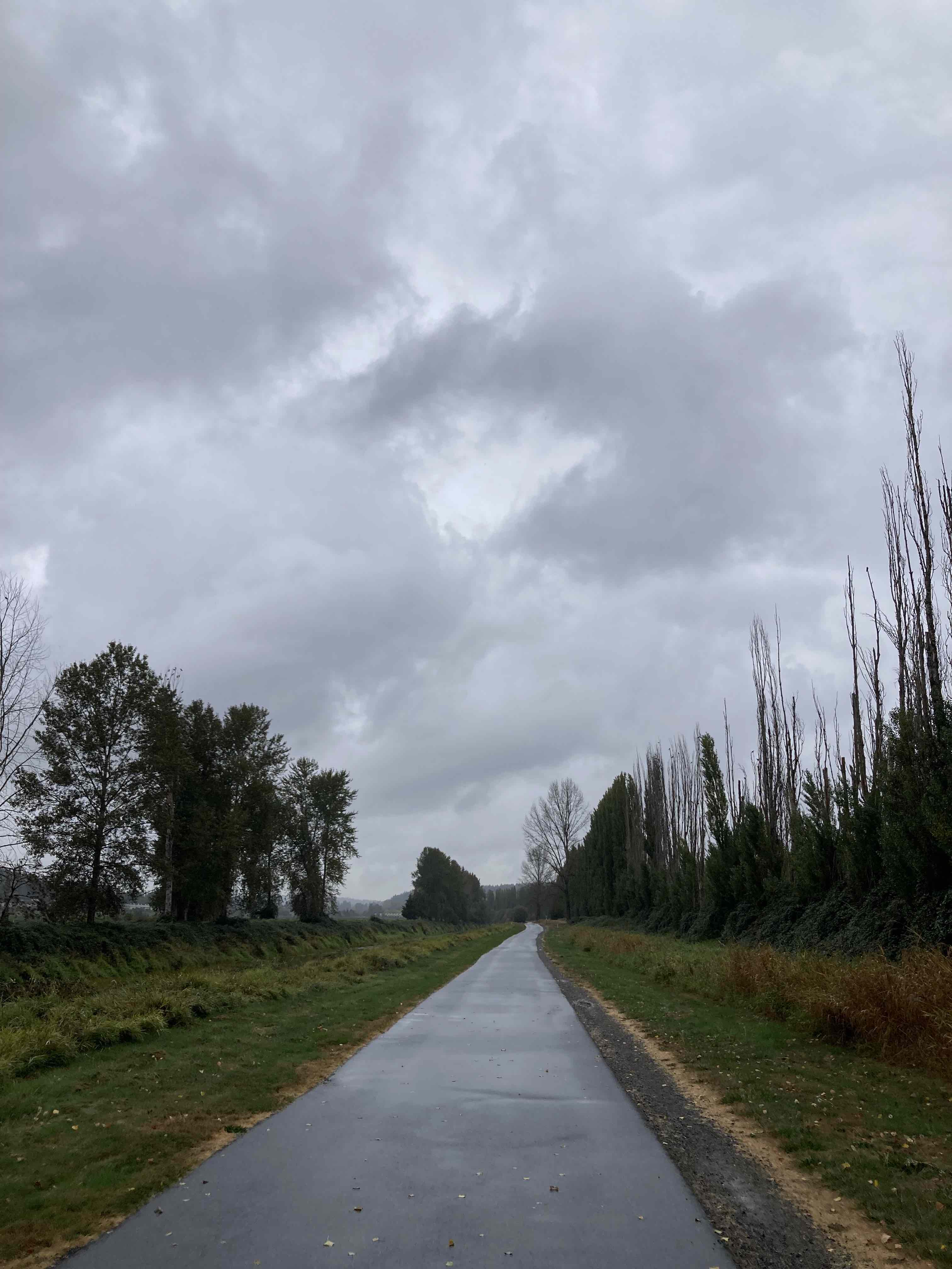 A paved trail picture taken from on the trail. Trees and a river are to the left; more trees line the trail to the right. It is very cloudy, the trail is visibly wet.