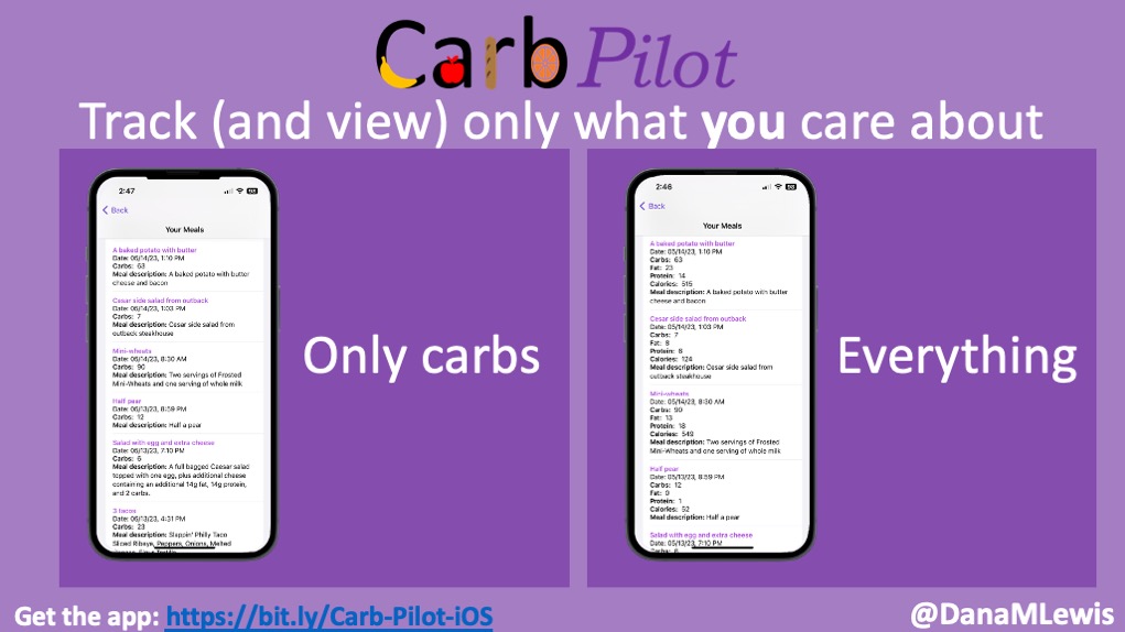 Carb Pilot enables you to toggle the display of different nutrients. This shows what it looks like if only carbs are displaying or what happens if you ask the app to display all nutrients for each recorded food item.