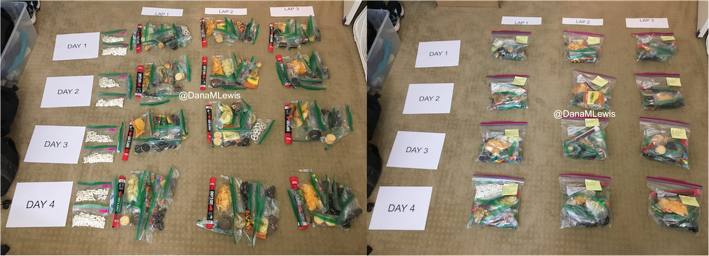 Two pictures side by side, with papers on the floor showing left to right laps 1-3 on the top and along the left side days 1-4, to create a grid to lay out my snacks. On the left picture, I have my enzymes, electrolytes per day and then a pile of snacks grouped for each lap. On the right, all the snacks and enzymes and electrolytes have been put into gallon bags, one for each lap.