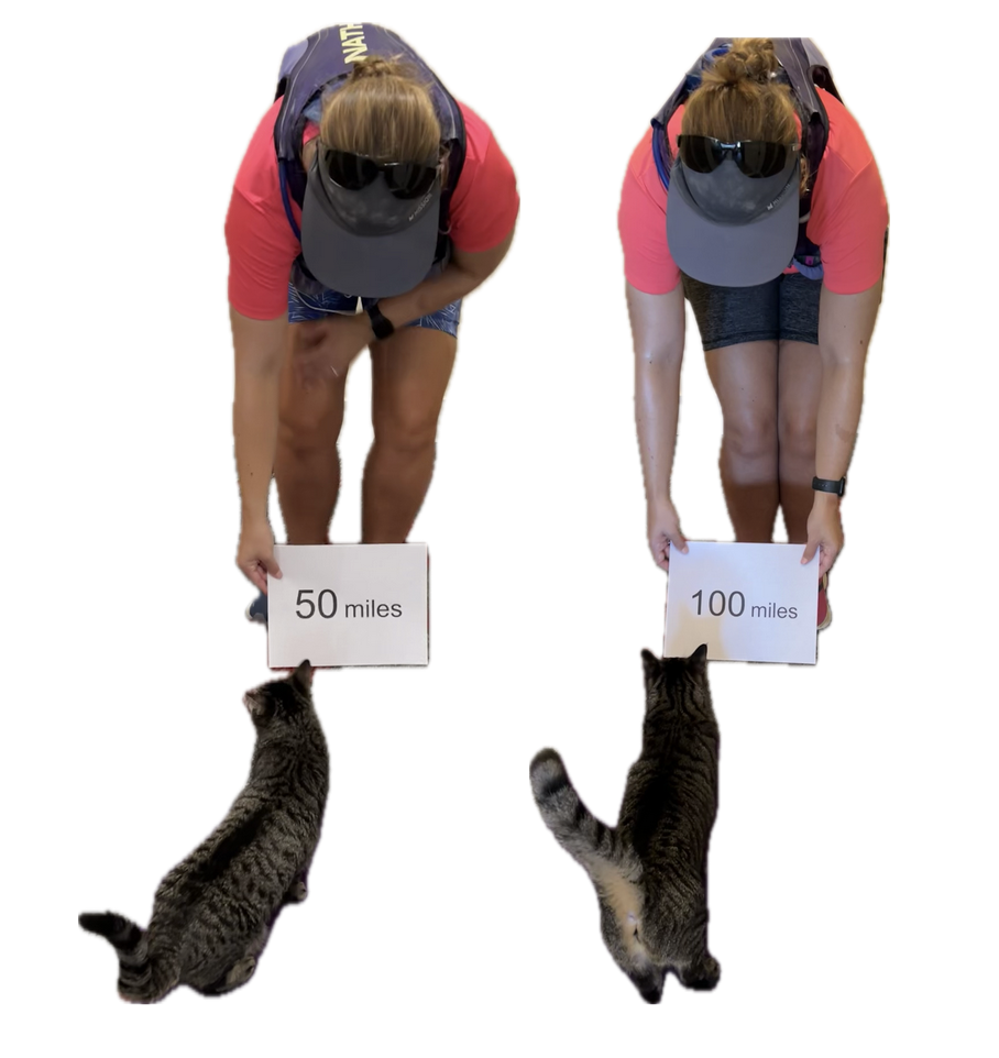 Two pictures of me leaning over after my run holding a sign (one reading 50 miles, one reading 100 miles) for each of my cats to sniff.