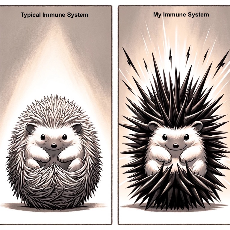 An image of two hedgehogs. On the left, a normal looking cute hedgehog with the caption "typical immune system". On the right, a hedgehog with wildly extended spines (like spikes) and lightning bolts shooting out of them, with the caption "my immune system". 