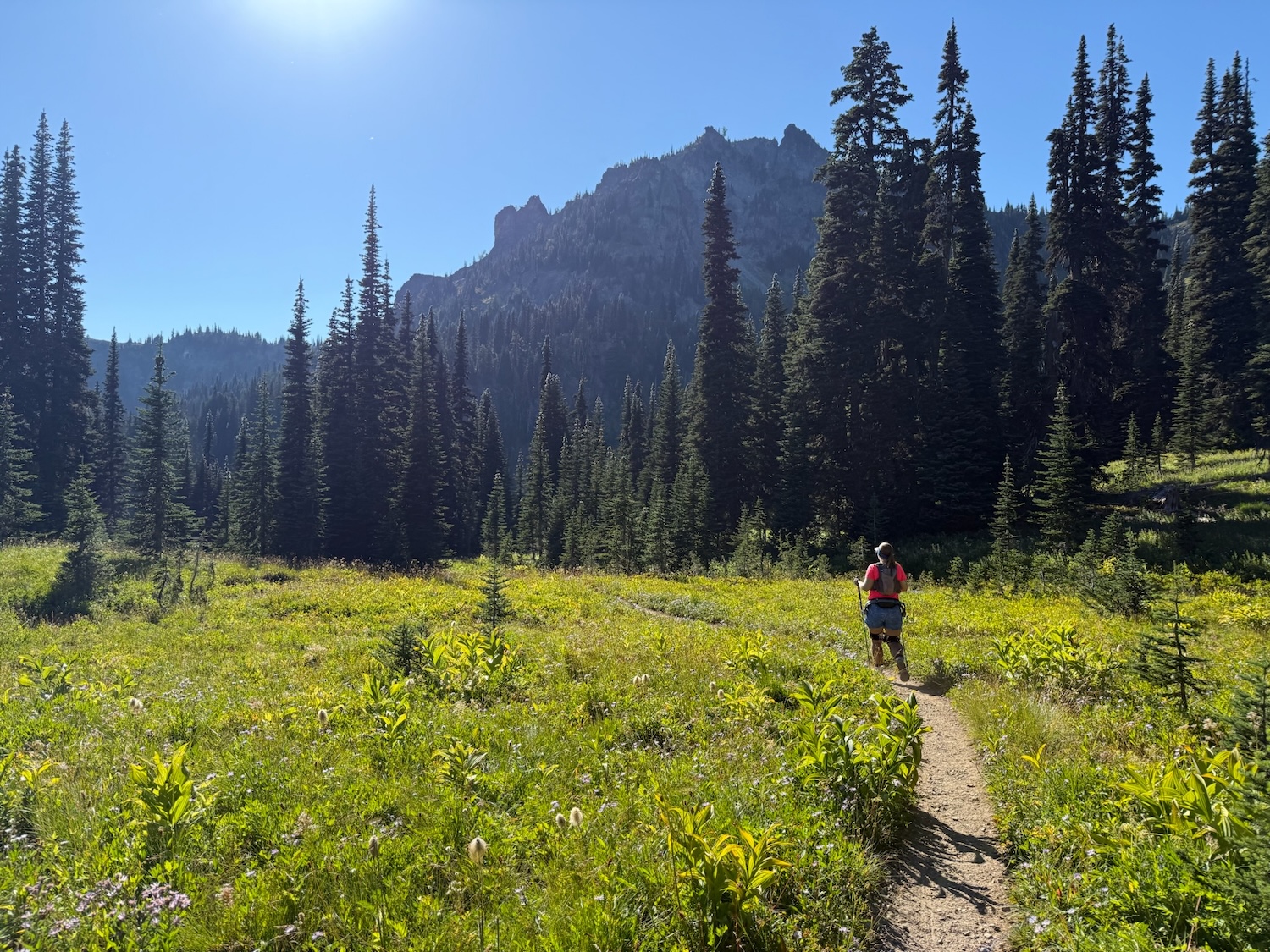 A view of me walking on a trail through an alpine meadow (green grass, flowers) with the mountain I hiked in the background and bright sun against a clear blue sky. I'm on the trail through the meadow and at first glance you may not notice it, but if you look you'll see black straps above the knee, which is the Hypershell strap, and you can also see the bar that goes around the back of my hips with the black battery, and you can also see the motors on the sides of my hips. But at a glance, you may not even notice it.