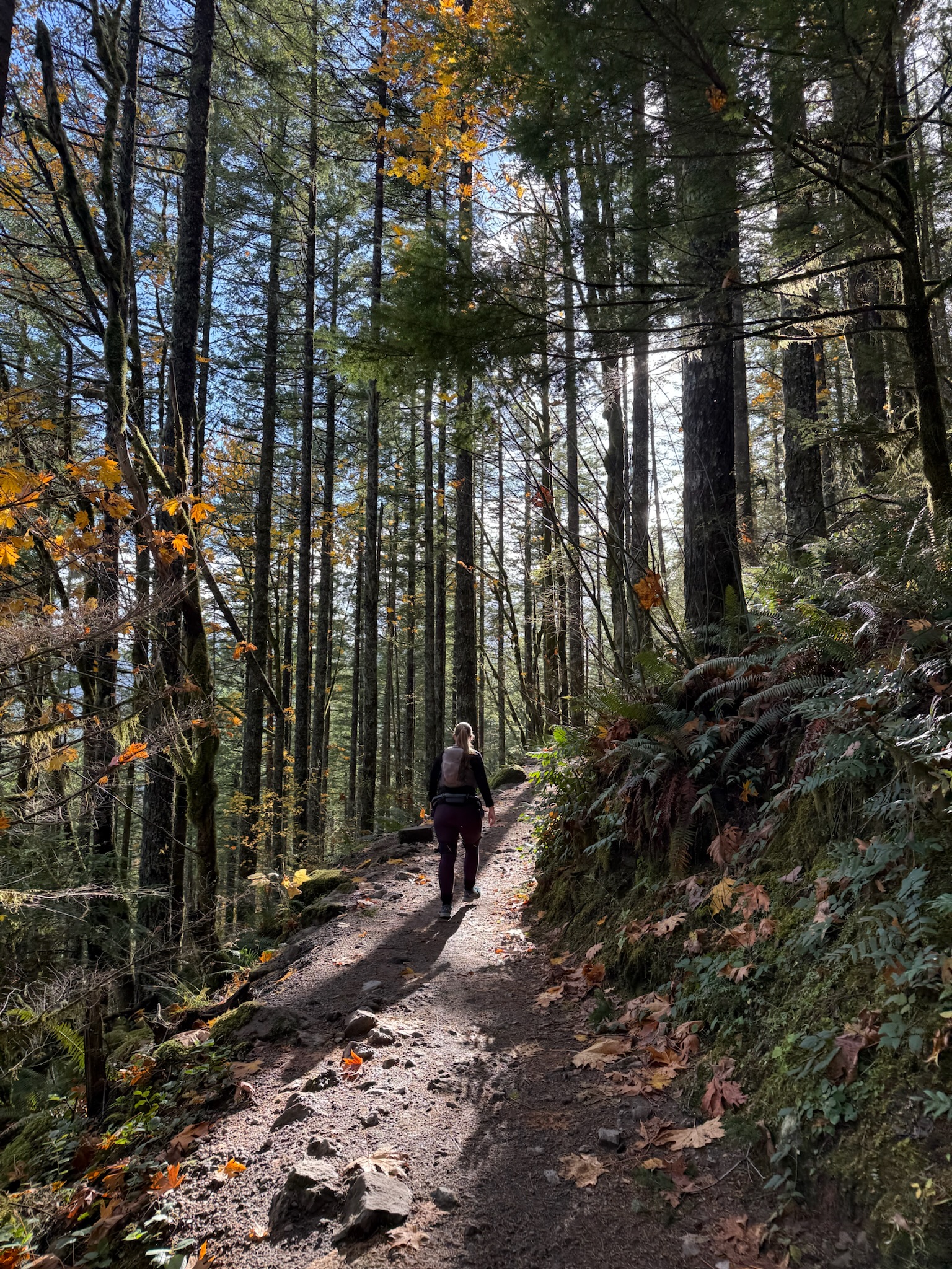 Dana is hiking on a smooth trail through a forest, with light coming through the trees. She is wearing a small hiking vest/pack and wears a long sleeve black tshirt with dark purple leggings and you can just barely see the exoskeleton's dark straps against her from behind. 